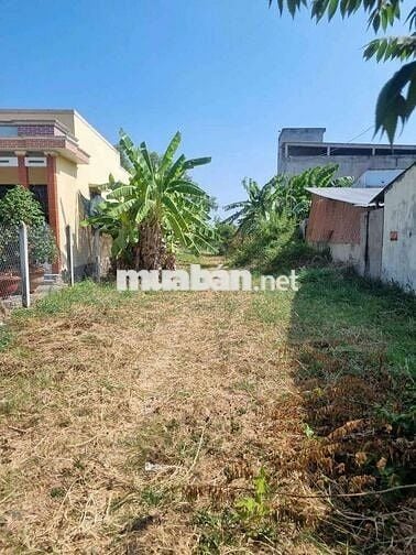 BÁN 7 LÔ ĐẤT LIỀN KỀ, THUẬN HÒA, TX. GÒ CÔNG – TIỀN GIANG