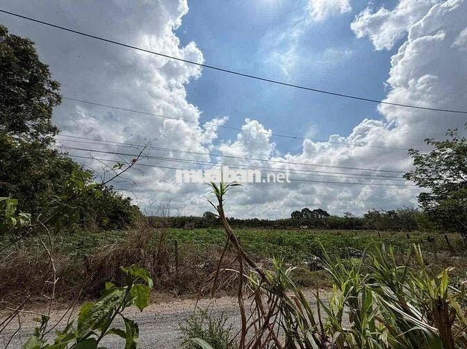 Ngân hàng thanh lý lô đất full thổ cư tại Thạnh Đức, Gò Dầu, Tây Ninh