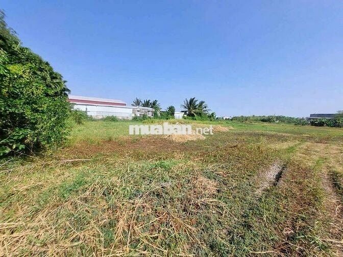 BÁN 7 LÔ ĐẤT LIỀN KỀ, THUẬN HÒA, TX. GÒ CÔNG – TIỀN GIANG