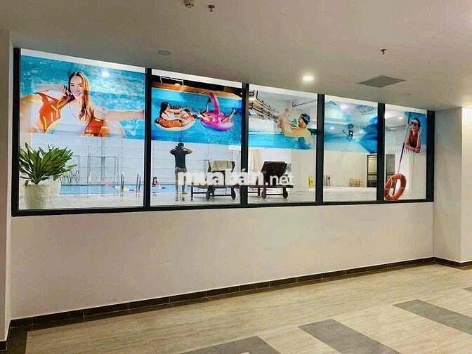 Cho Thuê Căn Hộ Chung Cư Biconsi Chợ Đình - Phú Lợi - Bình Dương