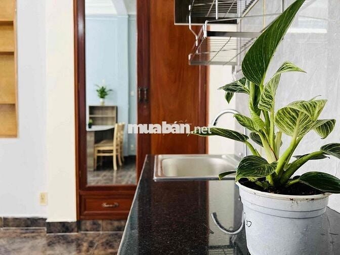 Căn hộ mini ban công quận 3, full nội thất, CV Tao Đàn, ngã 6 Phù Đổng