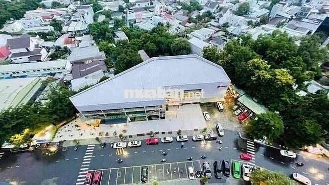 Cho Thuê Căn Hộ Chung Cư Biconsi Chợ Đình - Phú Lợi - Bình Dương