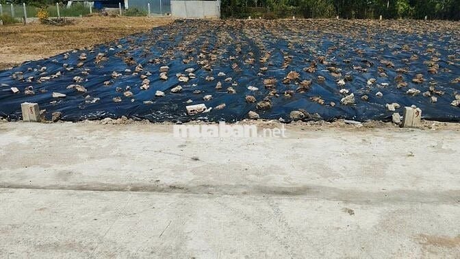 202m2 thổ cư ,đất đô thị gần KCN Gia Thuận, 490,8tr ,bao sang tên ,oto