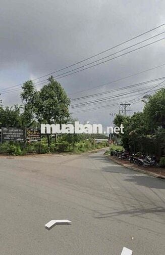 Đất Rẻ Bán Gần Bệnh Viện 512 Bình Dương Sổ Sẵn 120m2 Cho Thuê Xưởng