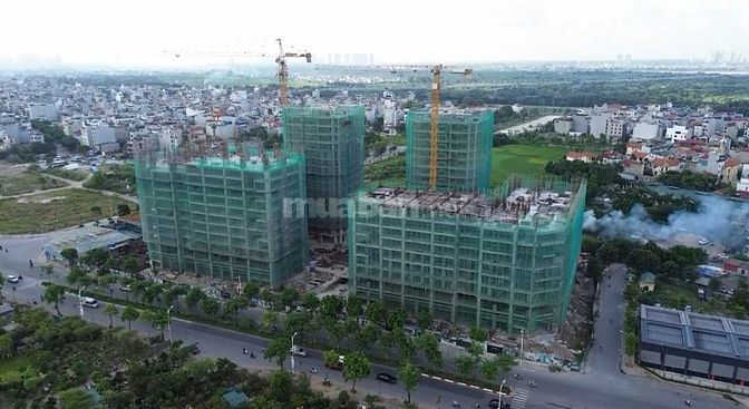 🔥 CẦN BÁN NHANH CĂN NGOẠI GIAO DỰ ÁN PLATINUM LONG BIÊN - GIÁ ƯU ĐÃI 