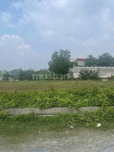 BÁN ĐẤT ĐẸP GIÁ TỐT TẠI HẺM 1 QL 1A, BẾN LỨC, LONG AN