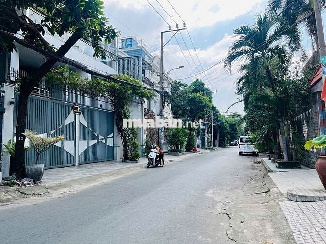 Cho thuê nhà mặt tiền đường A dt 12x14m 1L