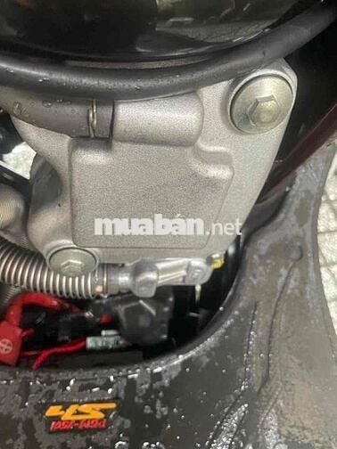 Sh ý 150 nhập ý nguyên zin