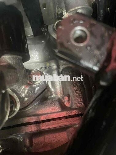 Sh ý 150 nhập ý nguyên zin