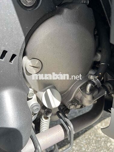 Sh ý 150 nhập ý nguyên zin