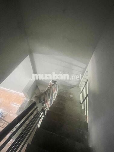 CHO THUÊ NHÀ MẶT TIỀN 4 x 20 nhà mới