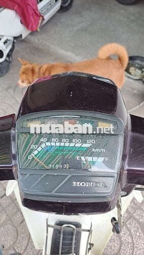 dream HQ up super Honda