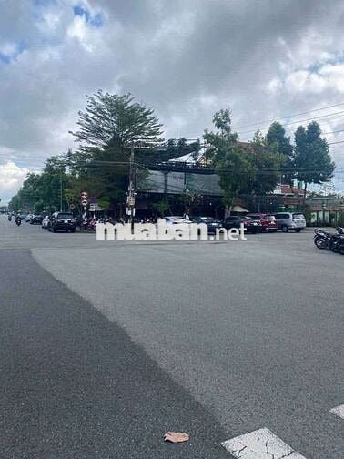 MẶT BẰNG KINH DOANH CHỢ CHÙA 590 M2