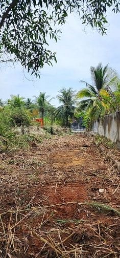 Kẹt Bank bán gấp 1000m, đs 8 Lò Lu, gần Vinhomes, sát Đông Tăng Long