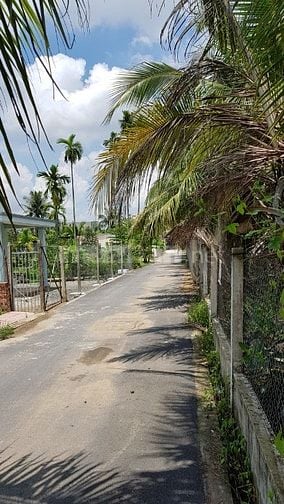 Kẹt Bank bán gấp 1000m, đs 8 Lò Lu, gần Vinhomes, sát Đông Tăng Long