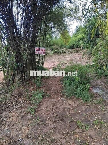 CẦN BÁN LÔ ĐẤT VỊ TRÍ ĐẸP  TẠI Xã Thái Mỹ,huyện Củ Chi,TP. Hồ Chí Minh