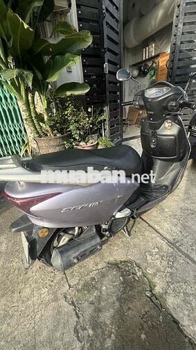 CHÍNH CHỦ CẦN BÁN HONDA SCR – GIÁ TỐT – XE CHẠY ỔN