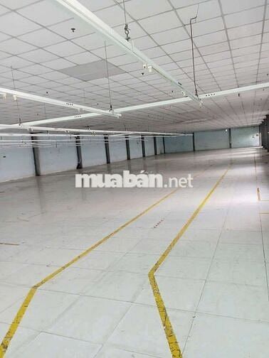 Cho thuê kho xưởng 1000M2, gần Phan Văn Hớn, Quận 12