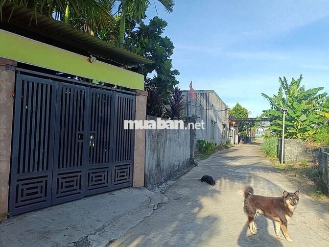 🟥🟥 1,250 TRIỆU/ ĐẤT GẦN UBND HOÀ LIÊN