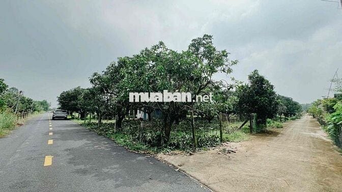 LÔ GÓC THỊ TRẤN PHƯỚC HẢI - VIEW NÚI SIÊU ĐẸP - GẦN BIỂN PHƯỚC HẢI