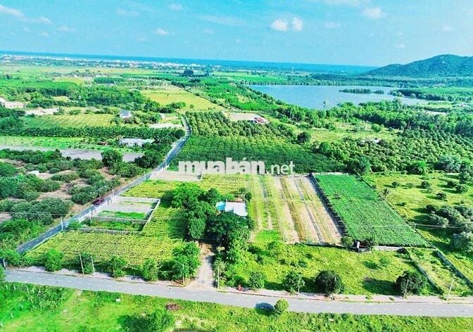 THỊ TRẤN PHƯỚC HẢI – GẦN HỒ SỞ BÔNG – CÁCH LAN RỪNG RESORT CHỈ 3KM