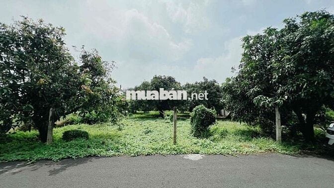 LÔ GÓC THỊ TRẤN PHƯỚC HẢI - VIEW NÚI SIÊU ĐẸP - GẦN BIỂN PHƯỚC HẢI