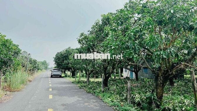 LÔ GÓC THỊ TRẤN PHƯỚC HẢI - VIEW NÚI SIÊU ĐẸP - GẦN BIỂN PHƯỚC HẢI