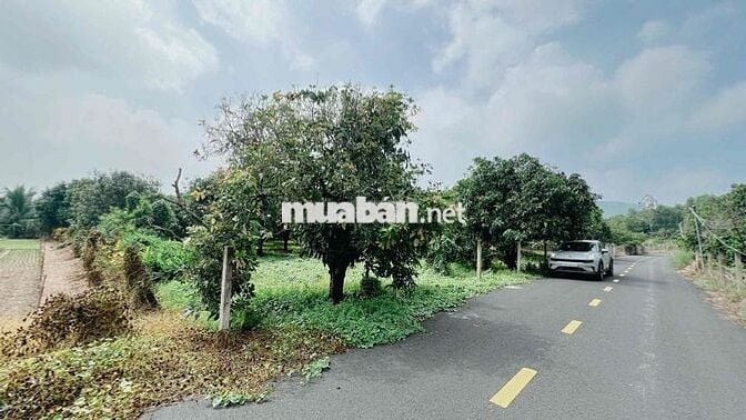 LÔ GÓC THỊ TRẤN PHƯỚC HẢI - VIEW NÚI SIÊU ĐẸP - GẦN BIỂN PHƯỚC HẢI