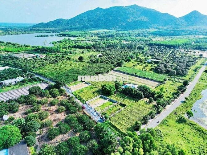 THỊ TRẤN PHƯỚC HẢI – GẦN HỒ SỞ BÔNG – CÁCH LAN RỪNG RESORT CHỈ 3KM