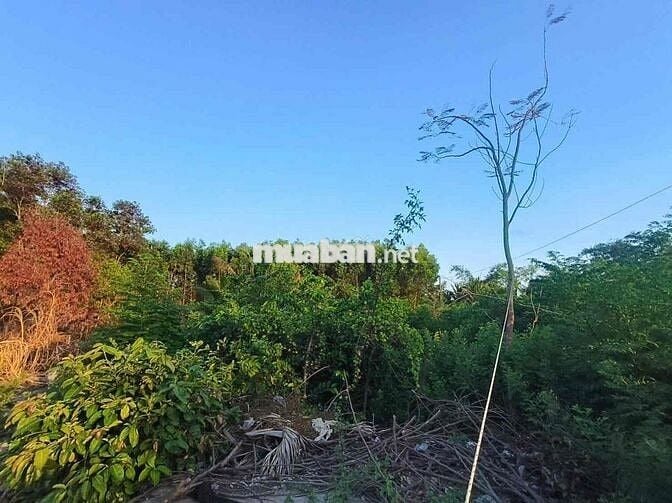 Chính chủ gửi bán đất ngay Phước Hải Long Đất mới