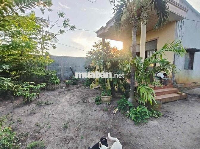 Chính chủ gửi bán đất ngay Phước Hải Long Đất mới