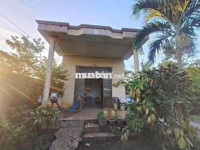 Chính chủ gửi bán đất ngay Phước Hải Long Đất mới