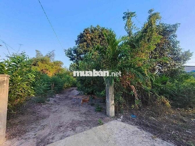 Chính chủ gửi bán đất ngay Phước Hải Long Đất mới