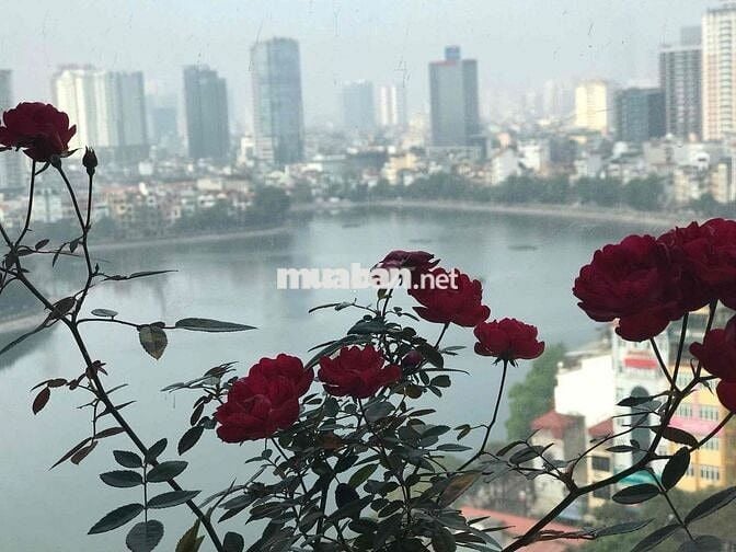 Cần bán chung cư cao cấp Skyline