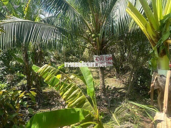 Cần bán thửa đất mặt tiền lộ nhựa cách KCN Giao Long 1km