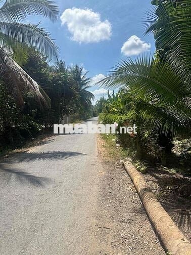 Cần bán thửa đất mặt tiền lộ nhựa cách KCN Giao Long 1km