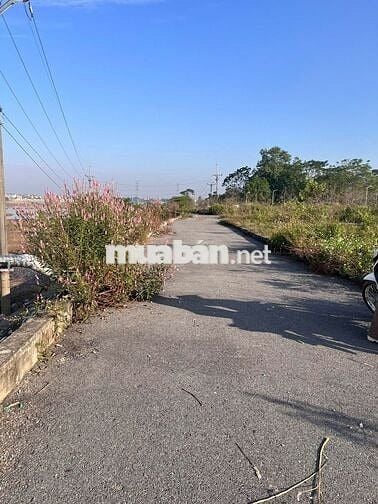 TÔ có lô đất xã phú nghĩa 145m full thổ cần bán gấp