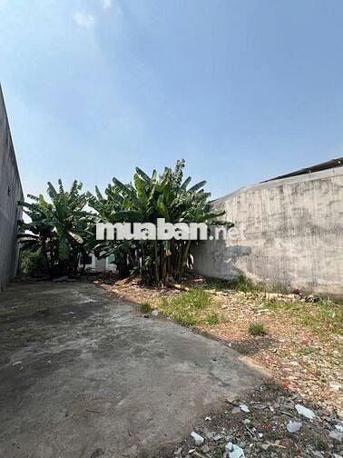 Hẻm XH Lê Đình Cẩn Bình Tân ,cách MT 60m ,  đất full thổ cư 483 m2