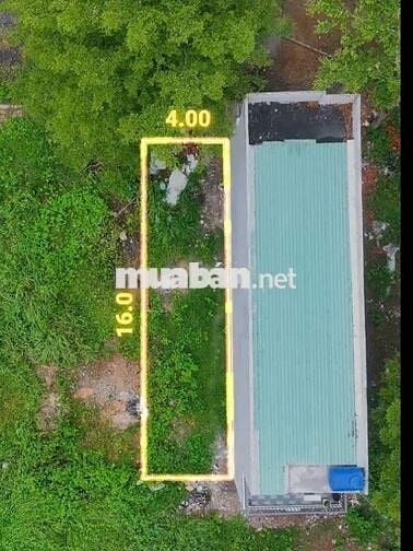 BÁN ĐẤT NỀN Đường Đinh Đức Thiện, Xã Long Hòa, Huyện Cần Đước,Long An.