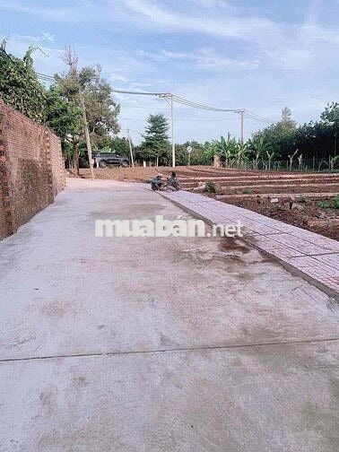 BÁN ĐẤT SÔNG TRẦU ẤP 3 THÔNG RA KCN BÀU XÉO TRẢNG BOM