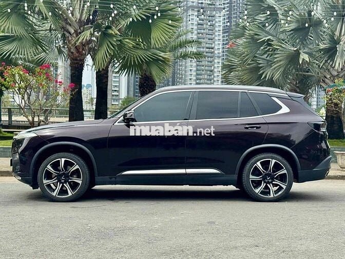 Vinfast Lux SA Premium 2019 - Nâu