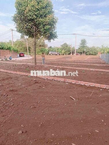 BÁN ĐẤT SÔNG TRẦU ẤP 3 THÔNG RA KCN BÀU XÉO TRẢNG BOM