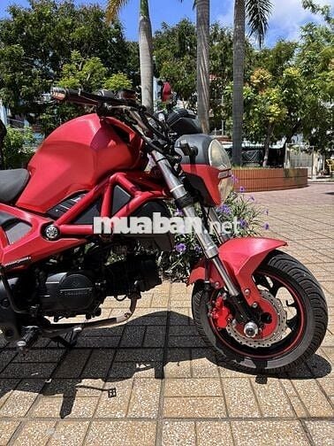 Ducati Mini 110cc Đỏ Thể thao