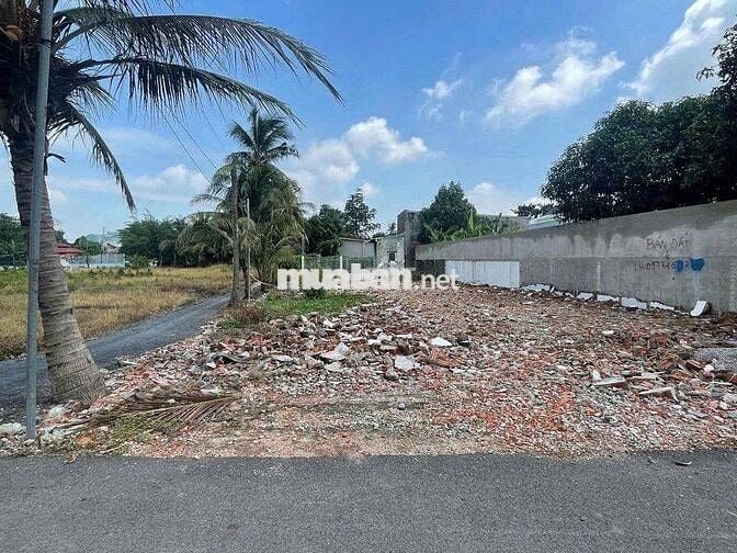 Bán đất nền dự án tại Bến Lức, Long An diện tích 136m2 giá 1.5 Tỷ