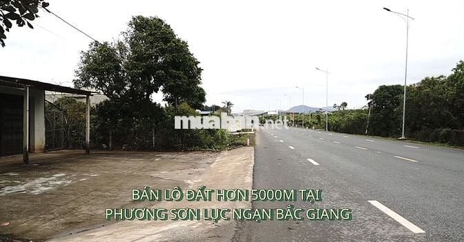 Bán lô đất 5000m tại Phượng Sơn Bắc Giang