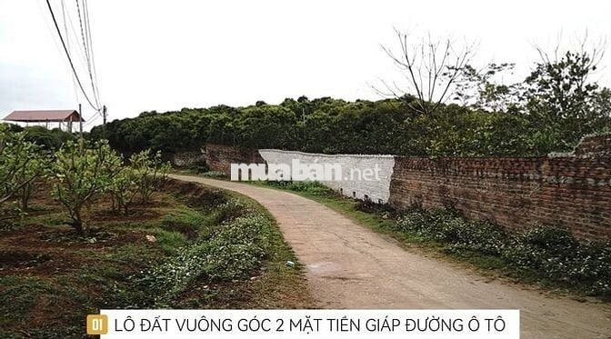 Bán lô đất 5000m tại Phượng Sơn Bắc Giang