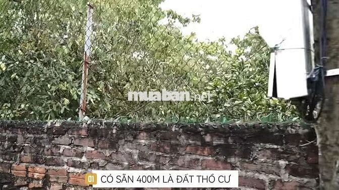 Bán lô đất 5000m tại Phượng Sơn Bắc Giang