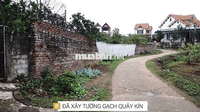 Bán lô đất 5000m tại Phượng Sơn Bắc Giang