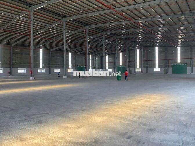 CHO THUÊ XƯỞNG ĐẸP XÃ TÓC TIÊN GẦN KCN PHÚ MỸ GIÁ TỐT