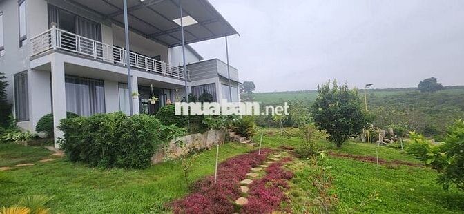 chính chủ cần bán gấp nhà vườn 6.000m2 trong khu du lịch sinh thái